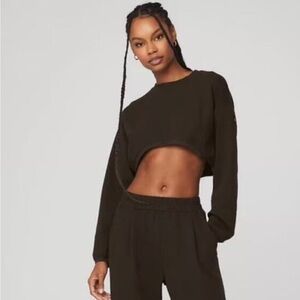 Alo Cropped Brown Long Sleeve Top